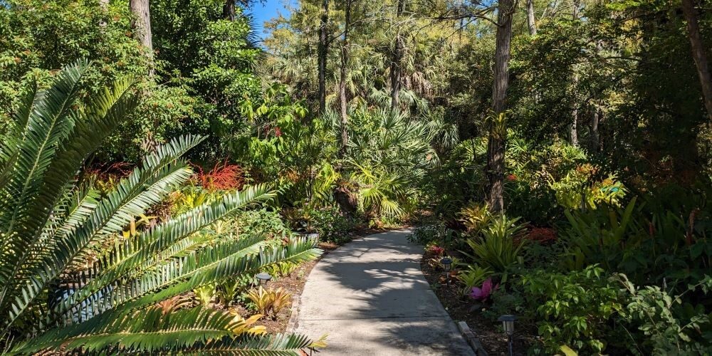 A lush, verdant pathway bordered by vibrant, exotic flora—tall palm trees swaying gently in the breeze, colorful flowers blooming along the sides.